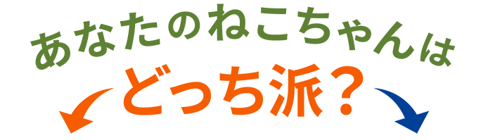 あなたのねこちゃんはどっち派？